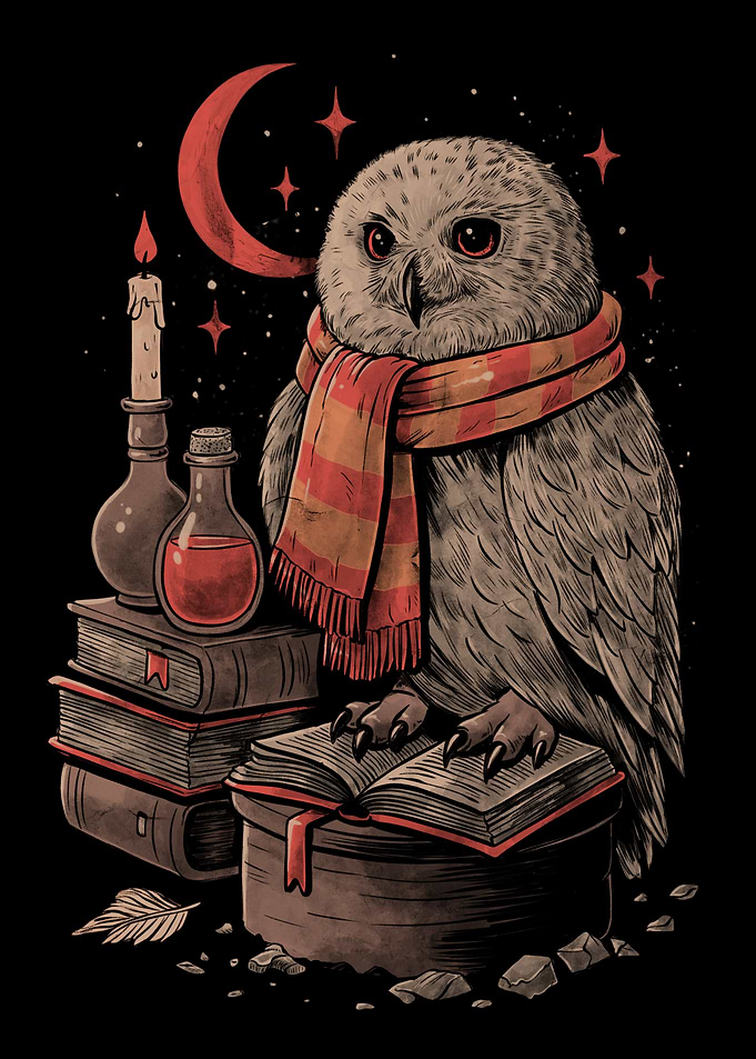 Mystic Owl Cute Book Reading