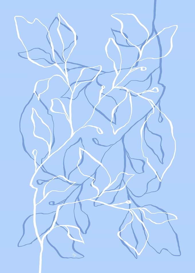Blue double plant