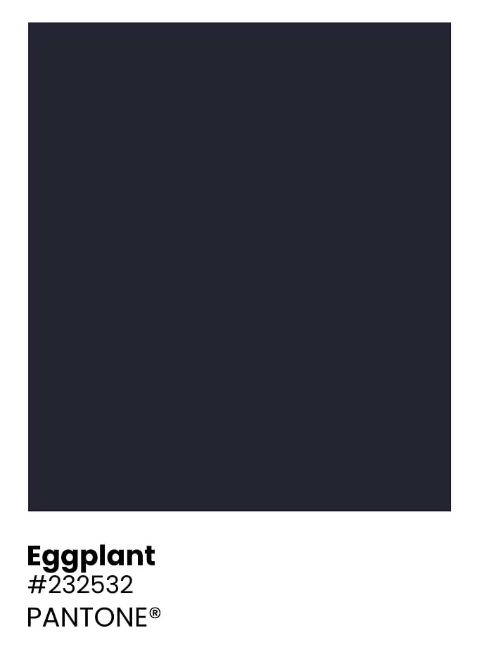 Pantone Eggplant Color