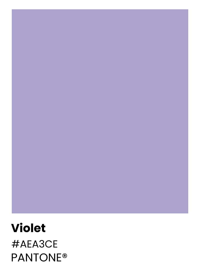 Pantone Violet Color Swatch