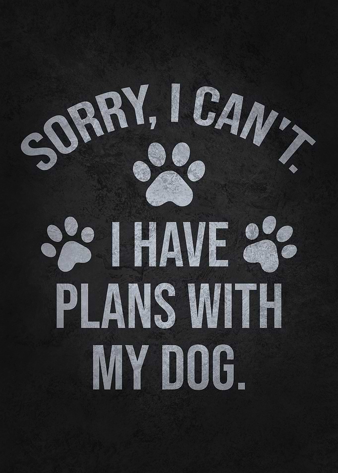 Sorry I Can’t – I Have Plans With My Dog Funny Pet