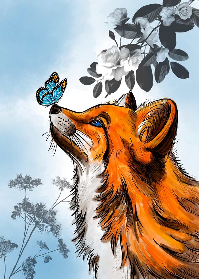 Fox and Butterfly