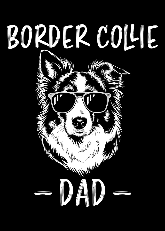 Border Collie Dad