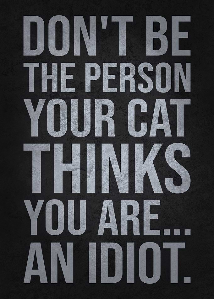 Don’t Be the Person Your Cat Thinks You Are Funny Quote