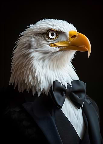 Eagle in Tuxedo