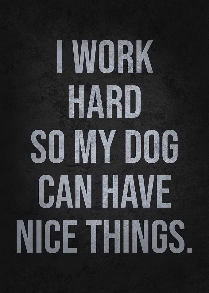 I Work Hard So My Dog Can Have Nice Things Funny Quote