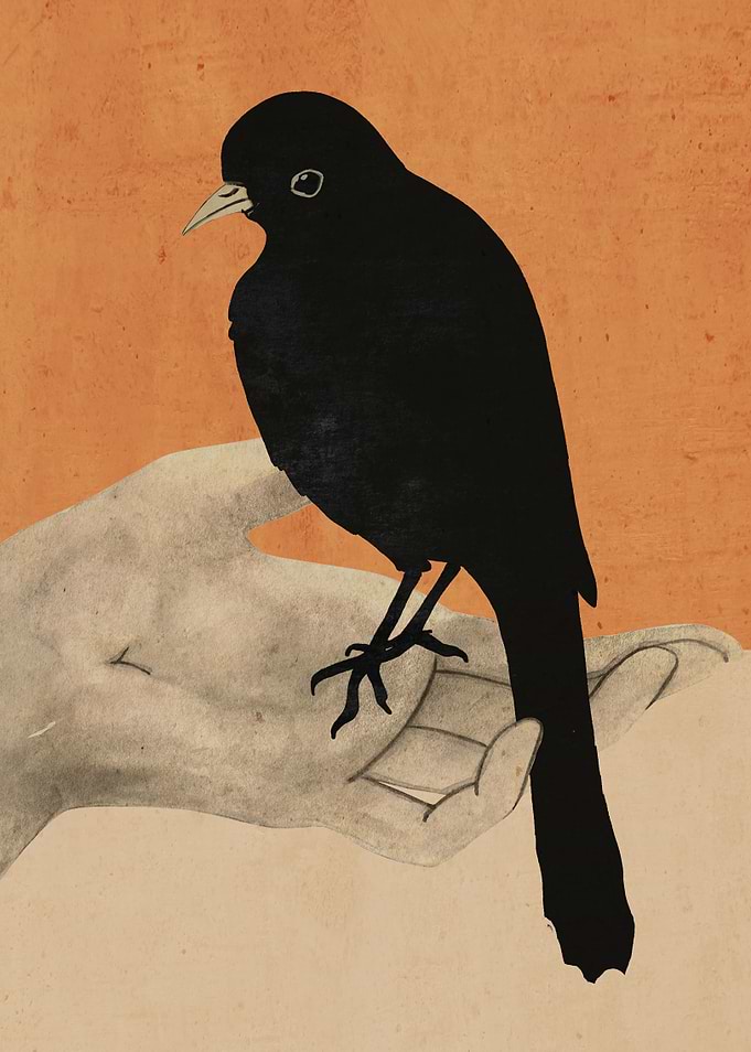 Blackbird on Hand