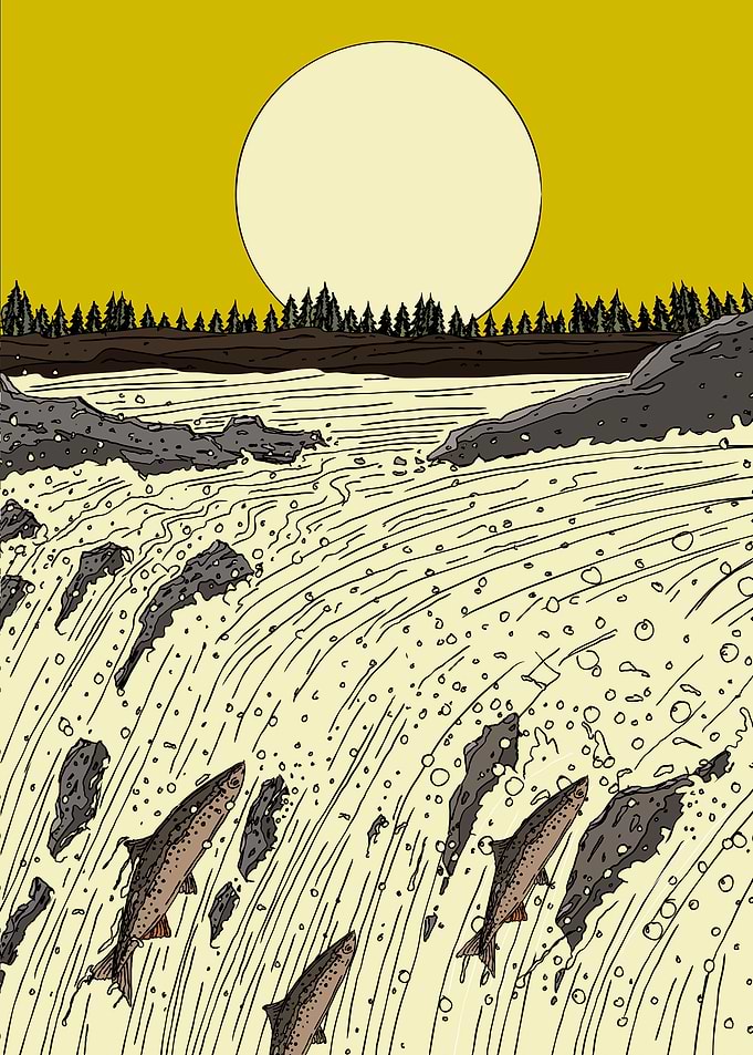 Salmon Leap Waterfall