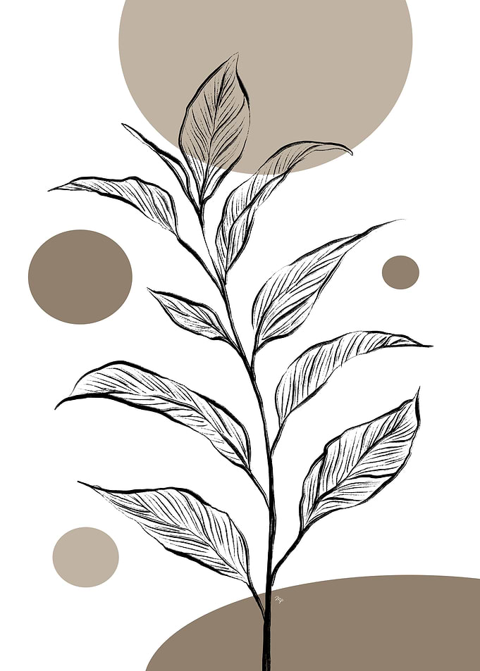 Fragile Mocha Plant Two