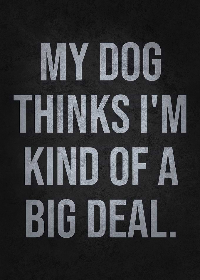 My Dog Thinks I'm Kind of a Big Deal – Funny Pet Quote