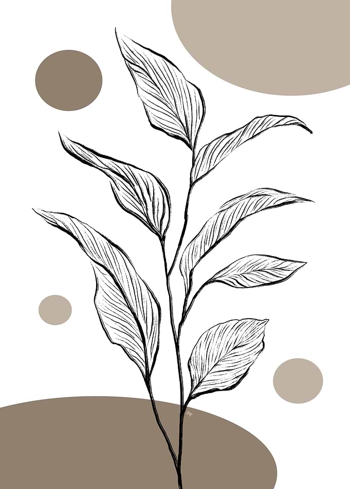 Fragile Mocha Plant One