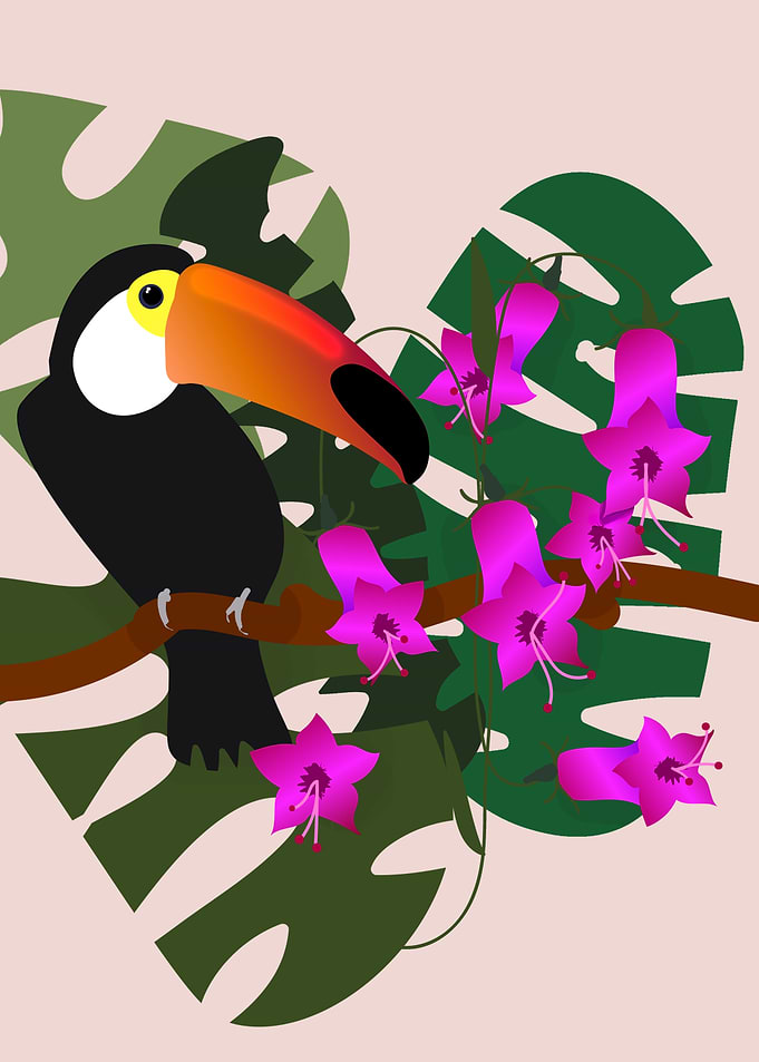 Toucan in Tropical Paradise