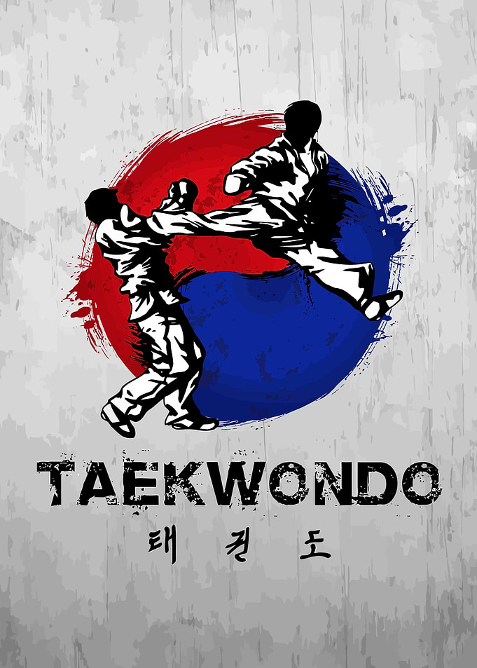 Taekwondo Action Poster