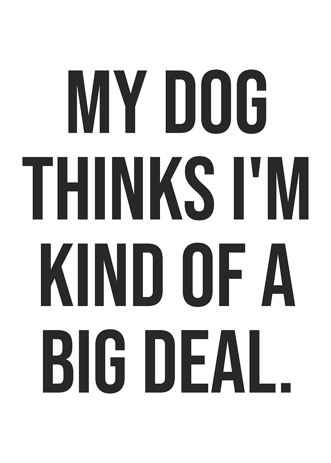 My Dog Thinks I'm a Big Deal