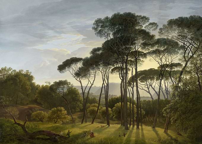 Italian Pine Forest