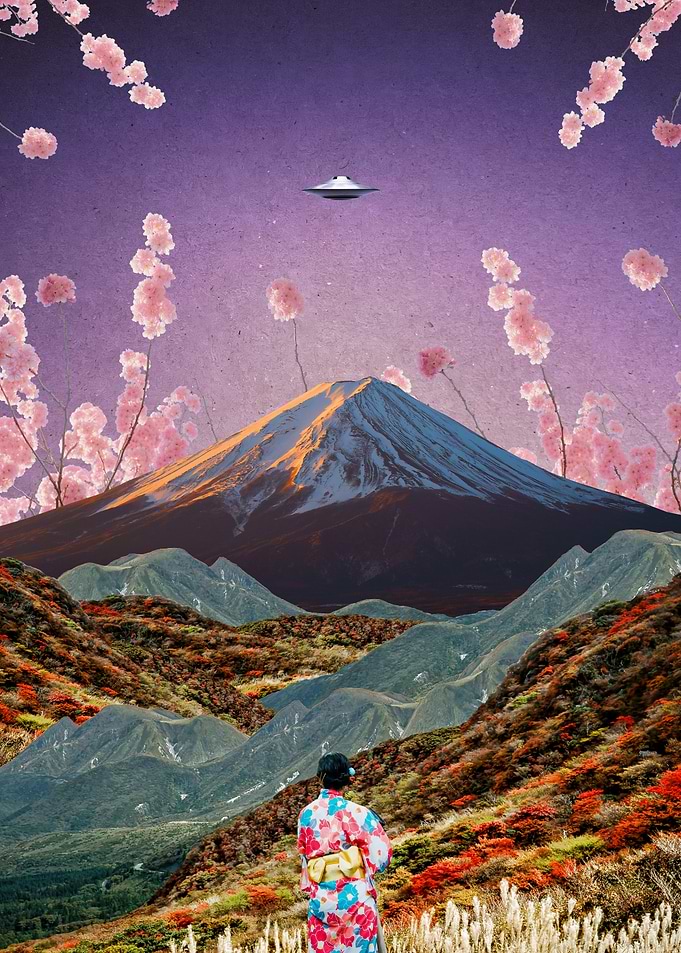 When The Cherry Blossoms Bloom