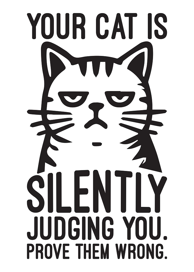 Your Cat Is Silently Judging You Funny Cat Quote