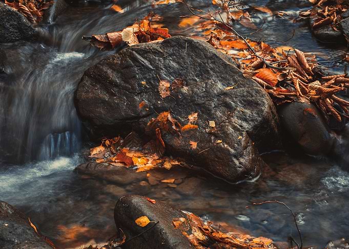 Autumn Creek