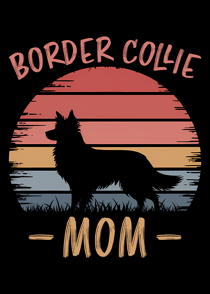 Border Collie Mom Sunset