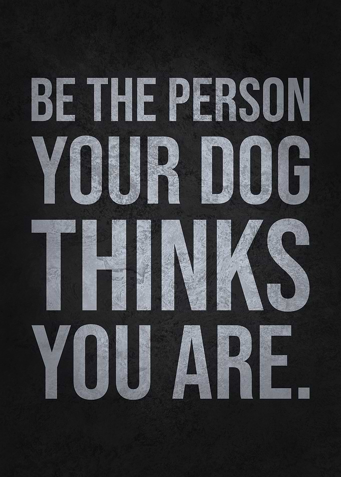 Be the Person Your Dog Thinks You Are