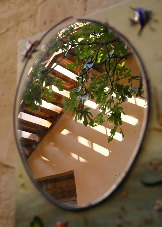 Mirror Reflection of Greenery