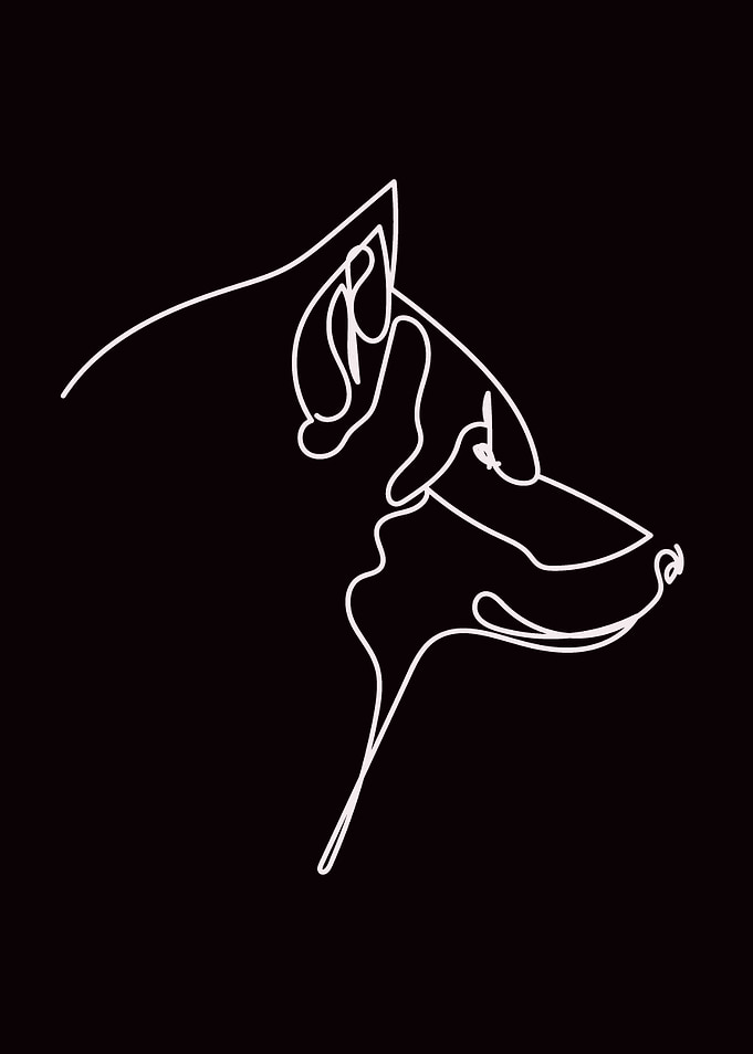Wolf Line Art