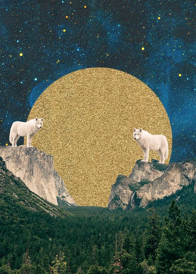 One With The Wolves