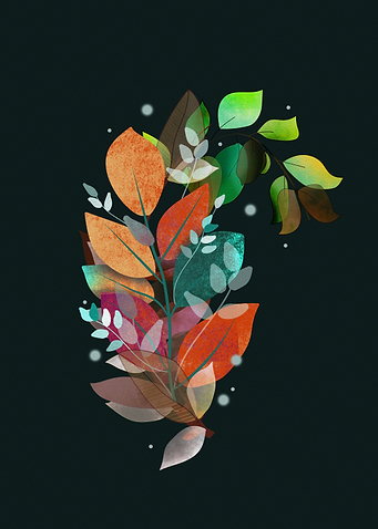 Colorful Autumn Leaves
