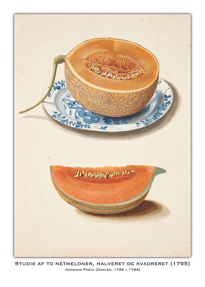 Cantaloupe Study