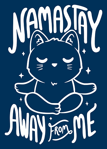 Cat Yoga Namaste