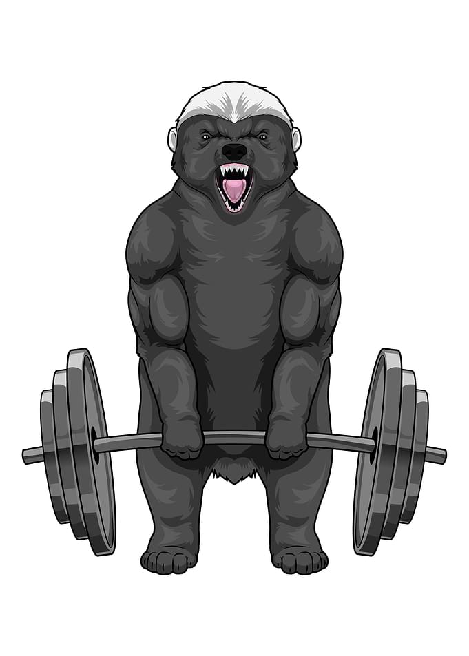 Badger Bodybuilding Dumbbell