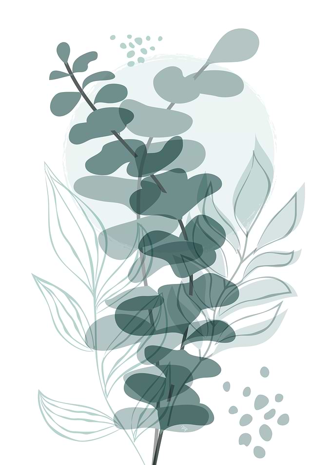 Modern green Eucalyptus One