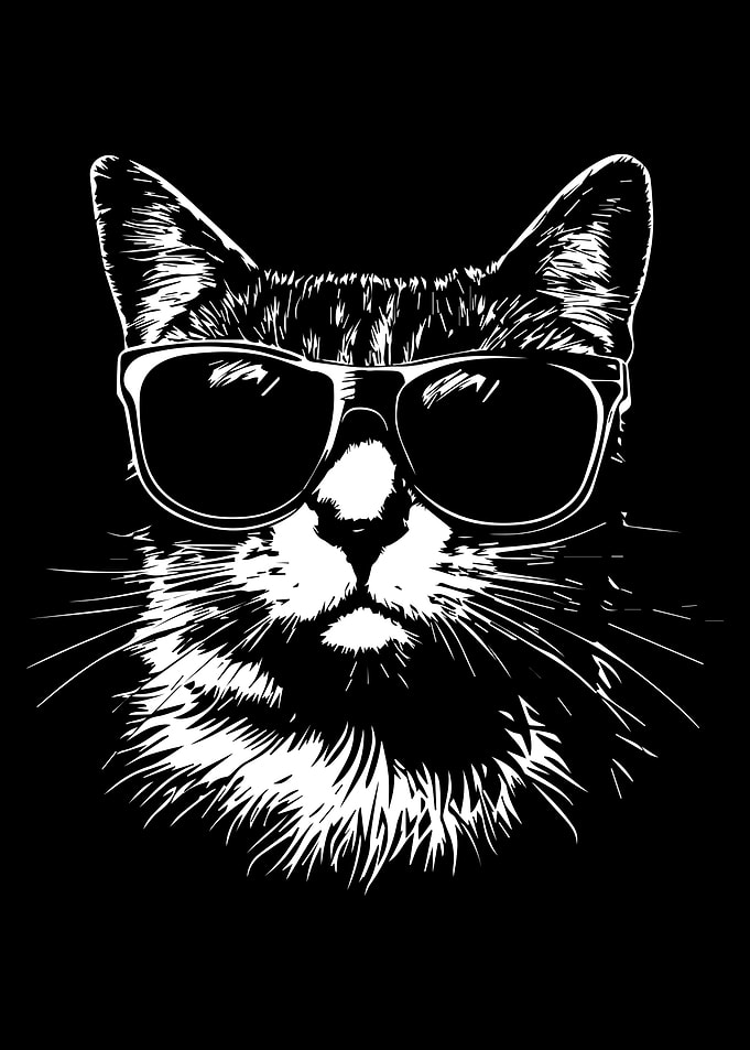 Cool Cat in Sunglasses
