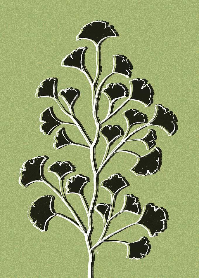Lime Ginkgo Leaf