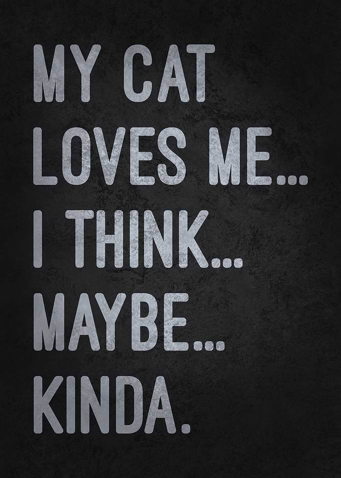 My Cat Loves Me... I Think... Maybe... Kinda Funny Quote
