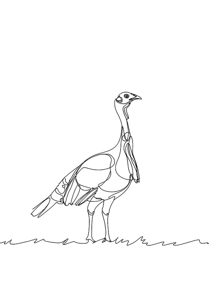 Turkey Minimalist Line Art