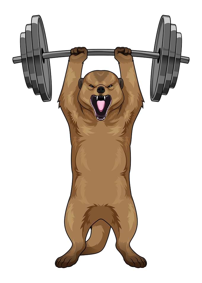 Meerkat Bodybuilding Dumbbell