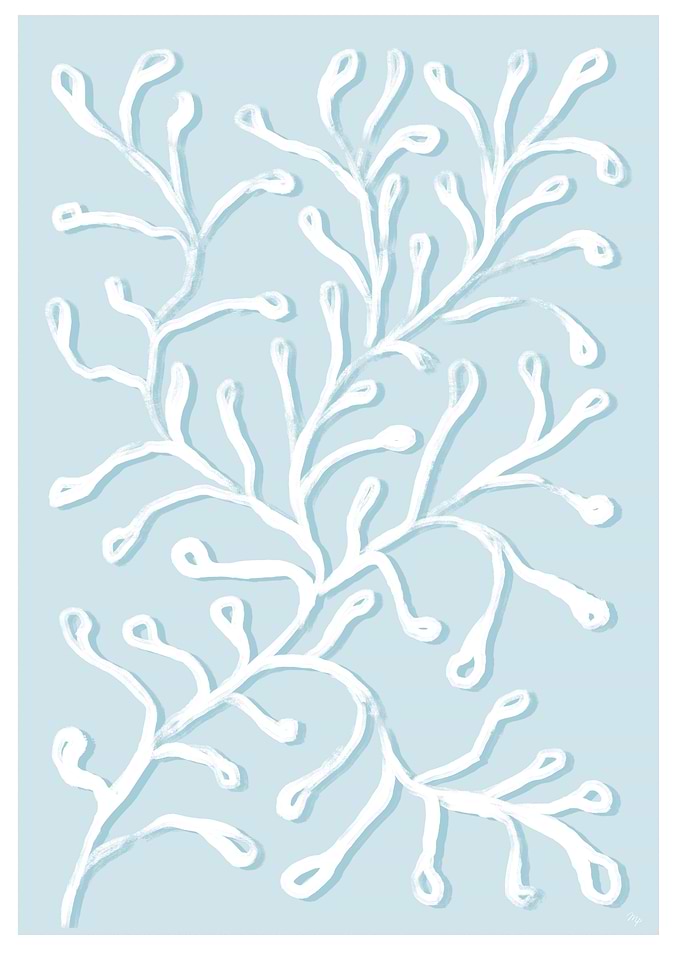 White Blue Coral Plant