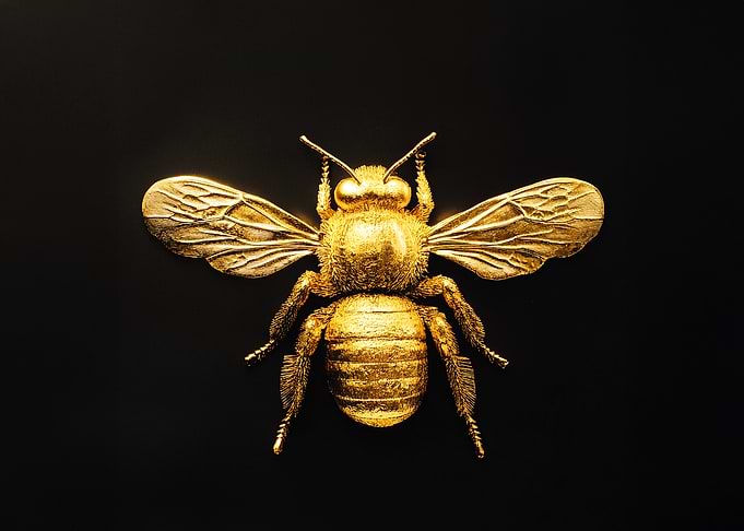 Golden Bumblebee