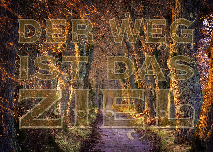 Der Weg ist das Ziel - The Path is the Goal