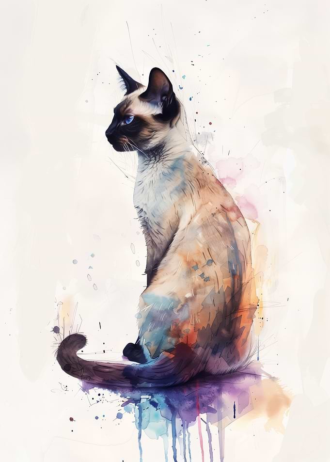 Watercolor Siamese Cat