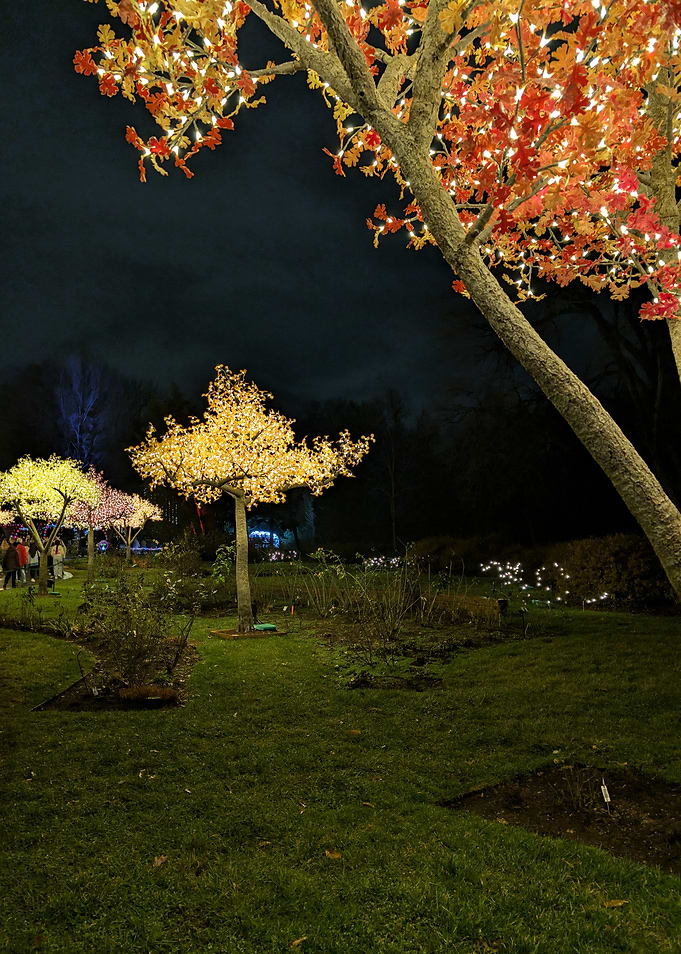 Grand Grove 03