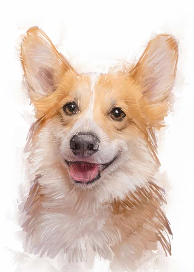 Smiling Corgi Portrait