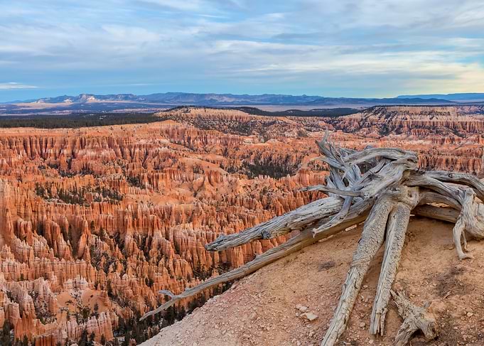 Bryce Canyon Landscape