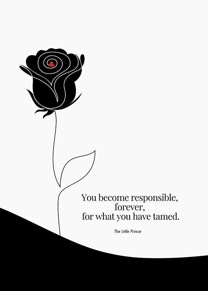 The Little Prince Rose Quote
