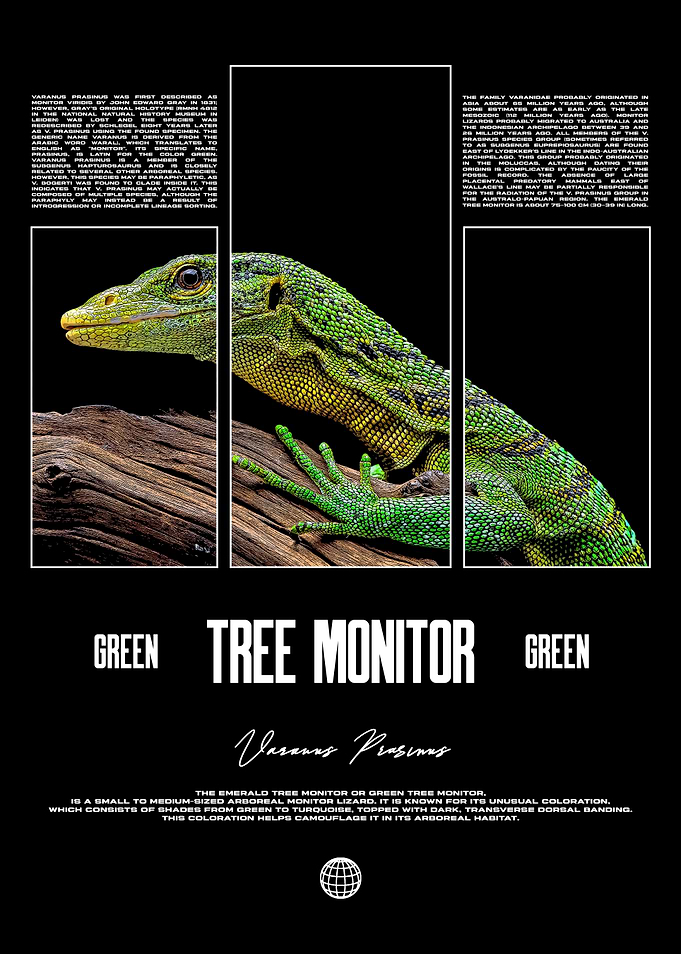 Green Tree Monitor Lizard Reptile Owner