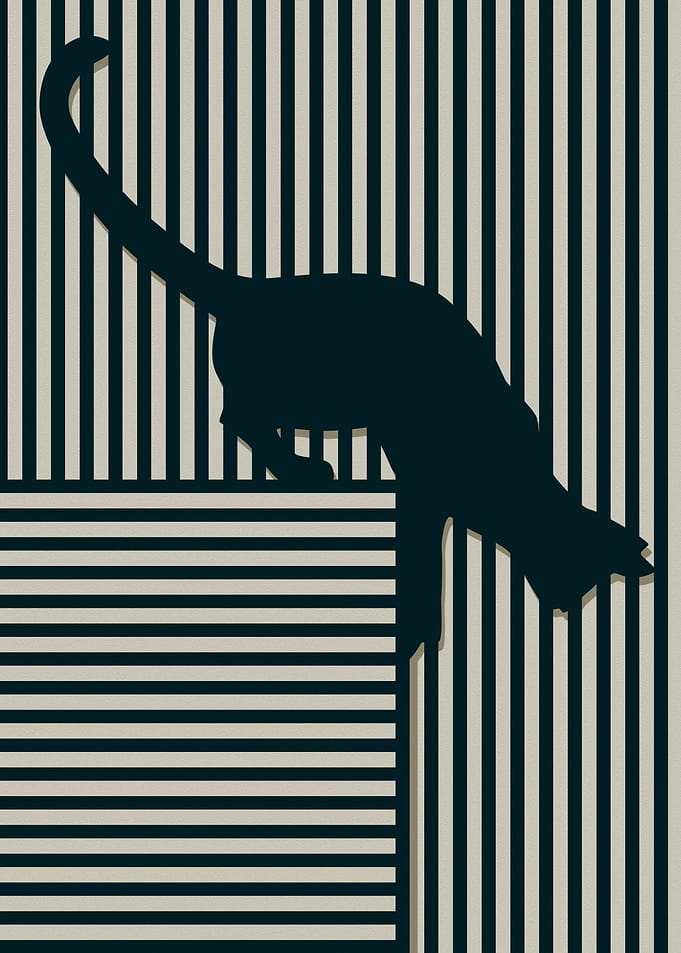 cat climbing down