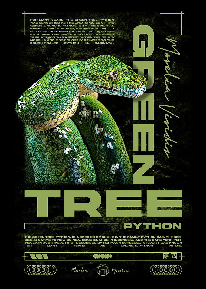 Green Tree Python Grunge Modern Poster