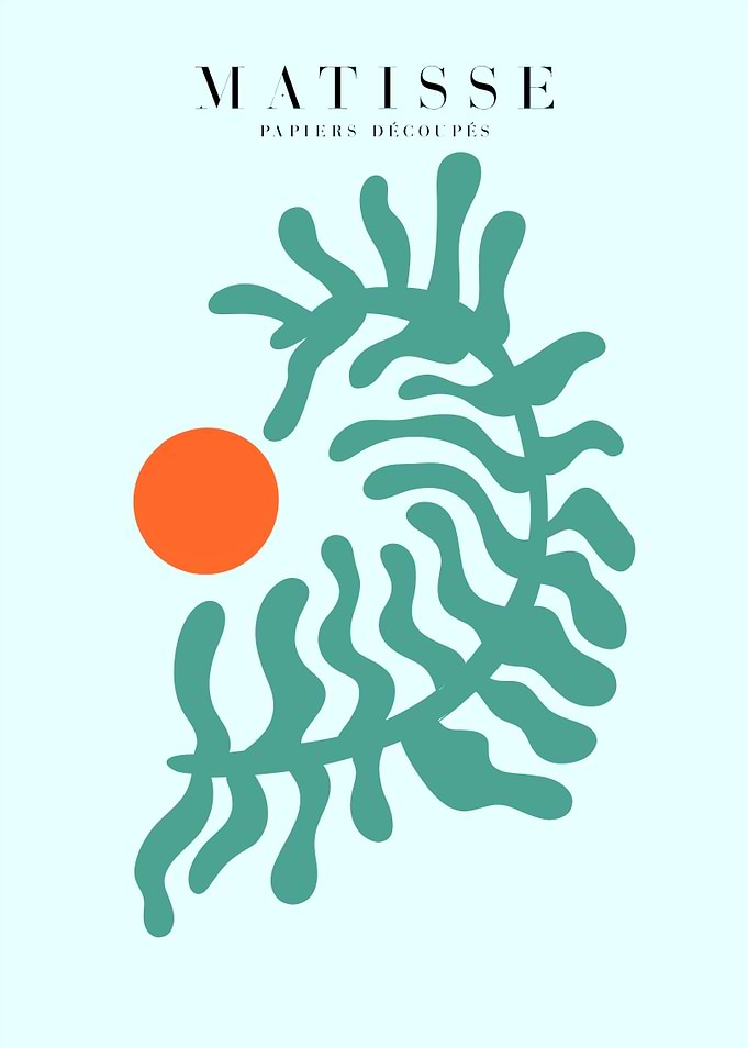 Matisse | Algue T55R