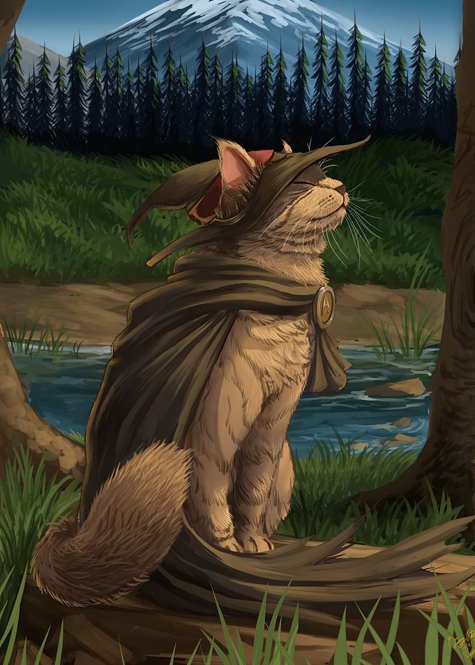 Cat Wizard in Forest